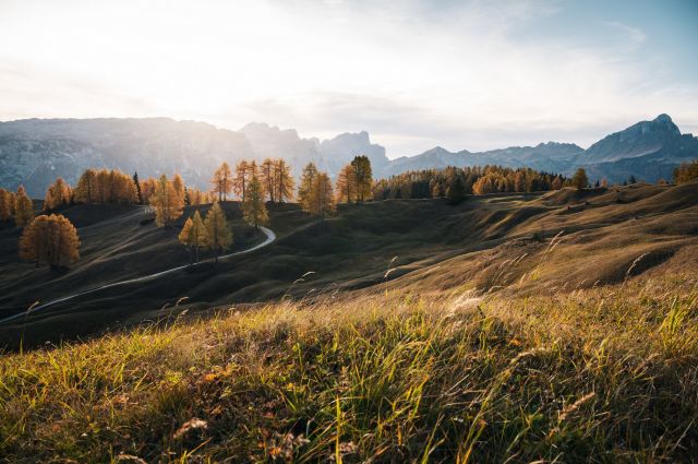 Immagine: vacanze nelle Dolomiti 